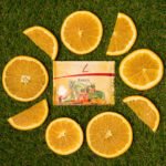Basics - Anti Inflammatory Morning Drink - Image 2
